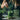 Cleanse Bio Greens Pulver Sticks